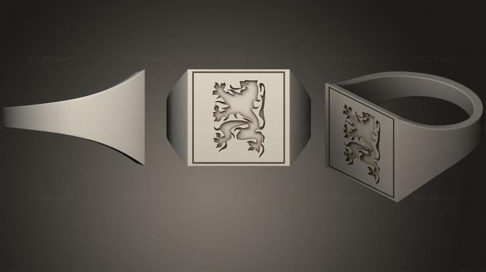 Jewelry rings (Flanders Flag ring, JVLRP_0356) 3D models for cnc